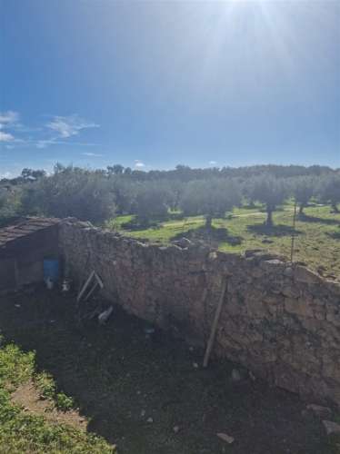 Terreno Rústico  Venda em Escalos de Cima e Lousa,Castelo Branco