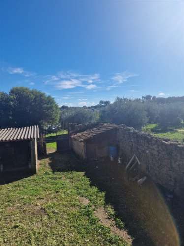 Terreno Rústico  Venda em Escalos de Cima e Lousa,Castelo Branco