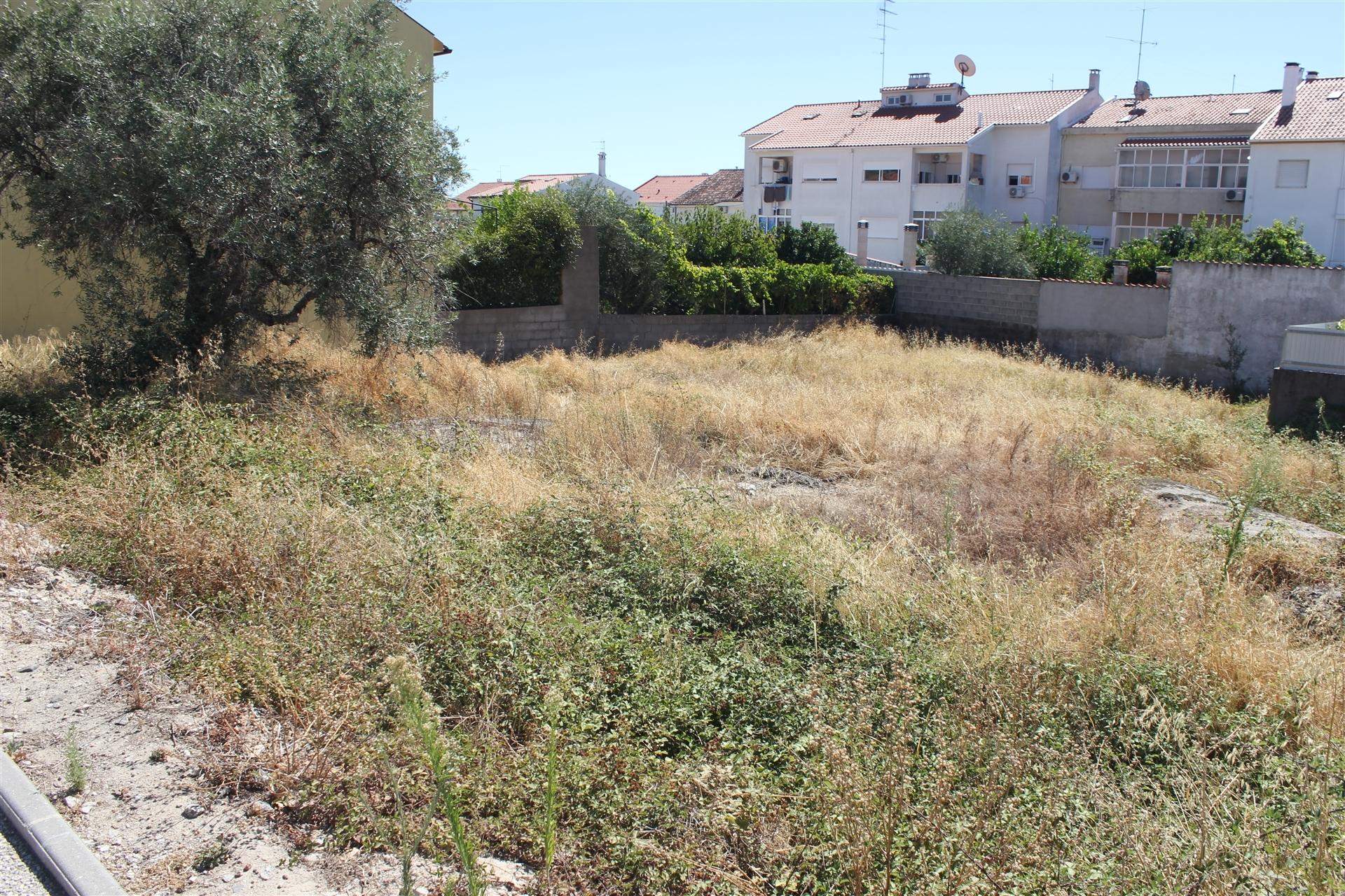 Terreno Para Construção  Venda em Castelo Branco,Castelo Branco