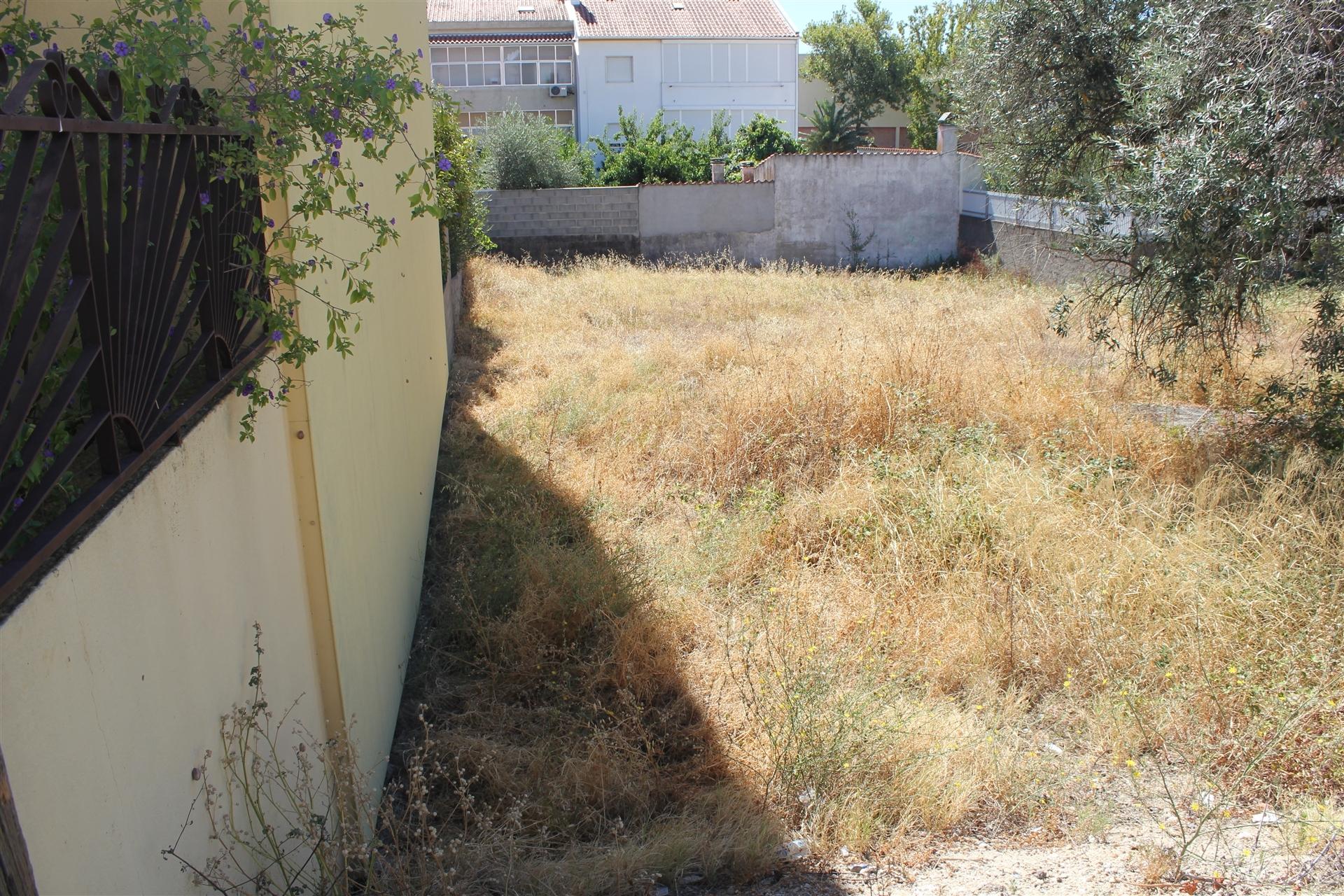 Terreno Para Construção  Venda em Castelo Branco,Castelo Branco