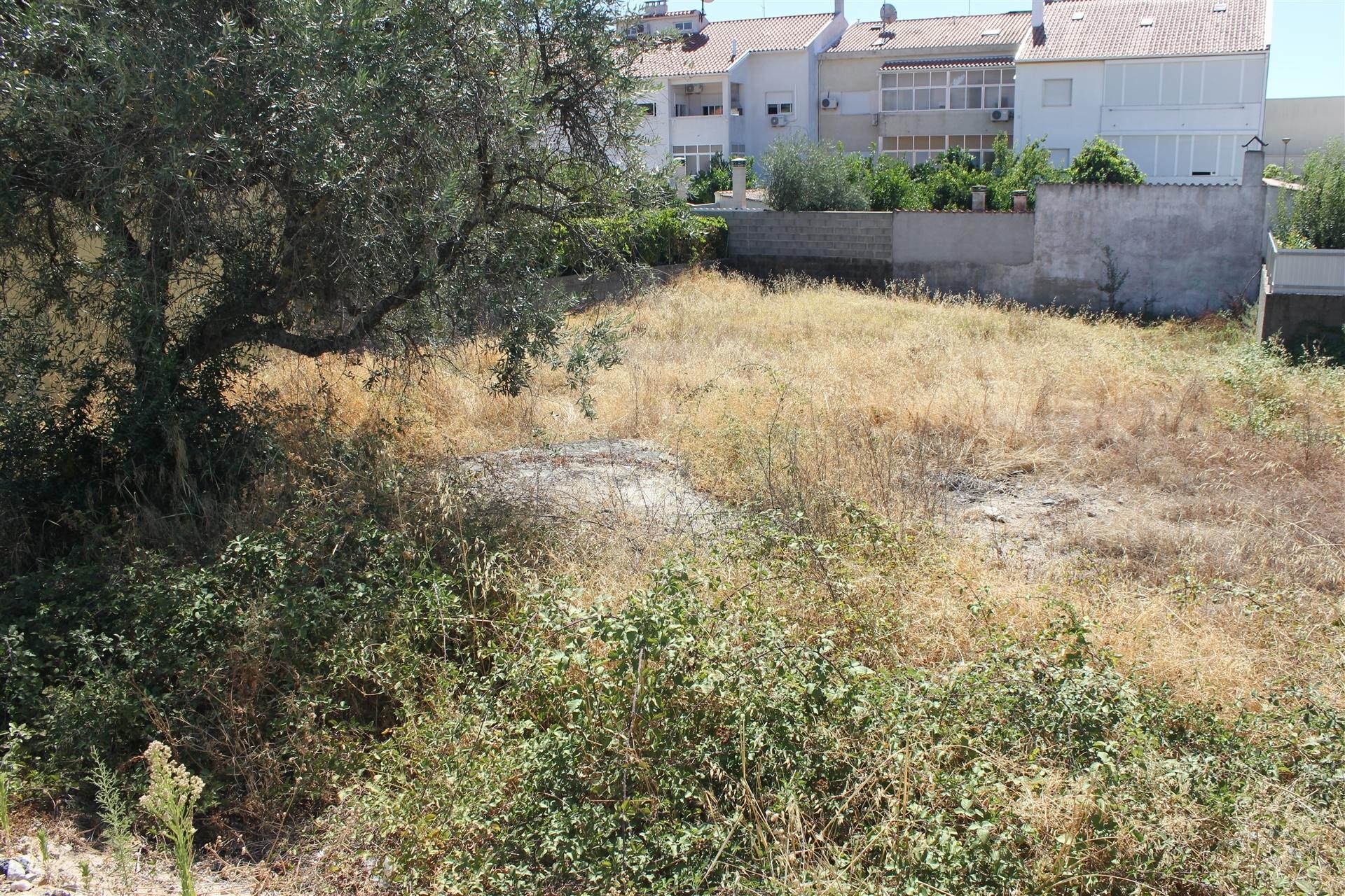 Terreno Para Construção  Venda em Castelo Branco,Castelo Branco