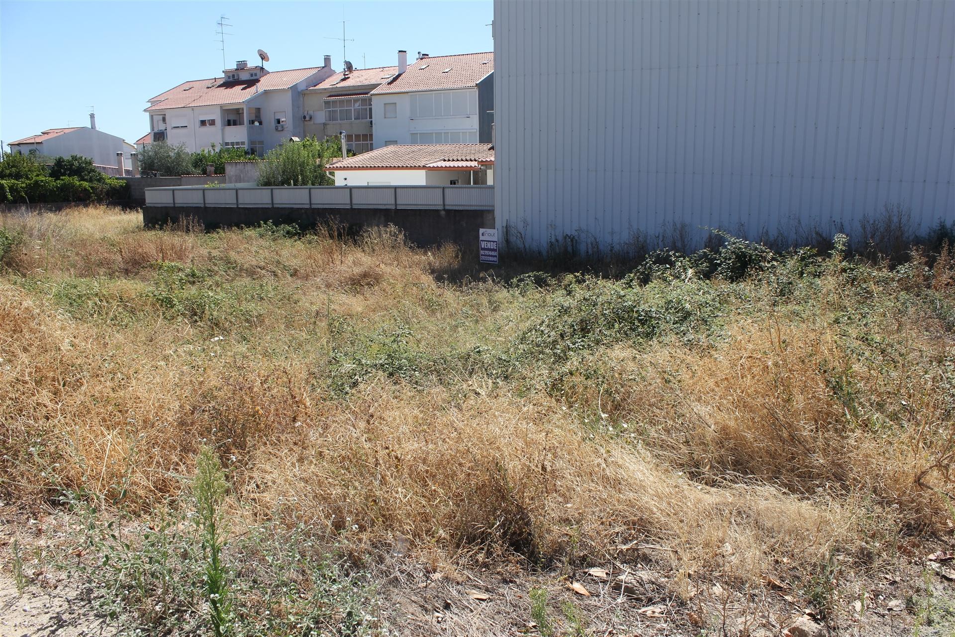 Terreno Para Construção  Venda em Castelo Branco,Castelo Branco