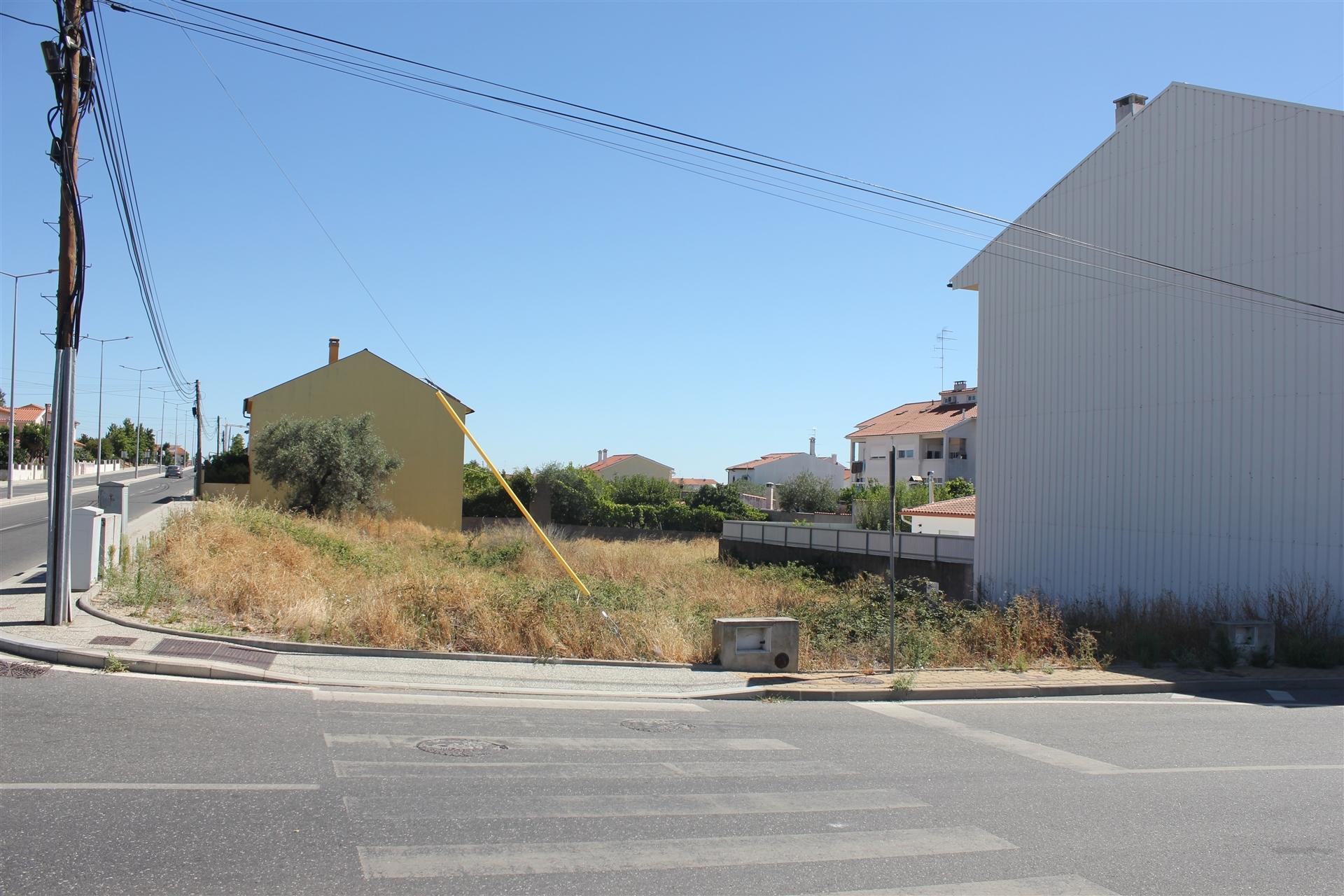 Terreno Para Construção  Venda em Castelo Branco,Castelo Branco