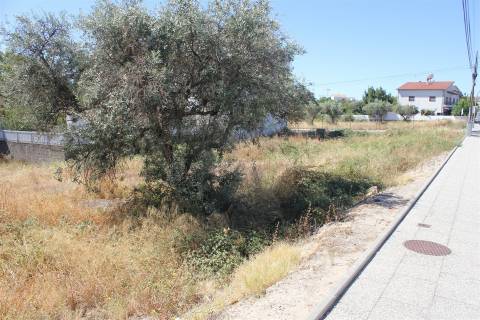 Terreno Para Construção  Venda em Castelo Branco,Castelo Branco