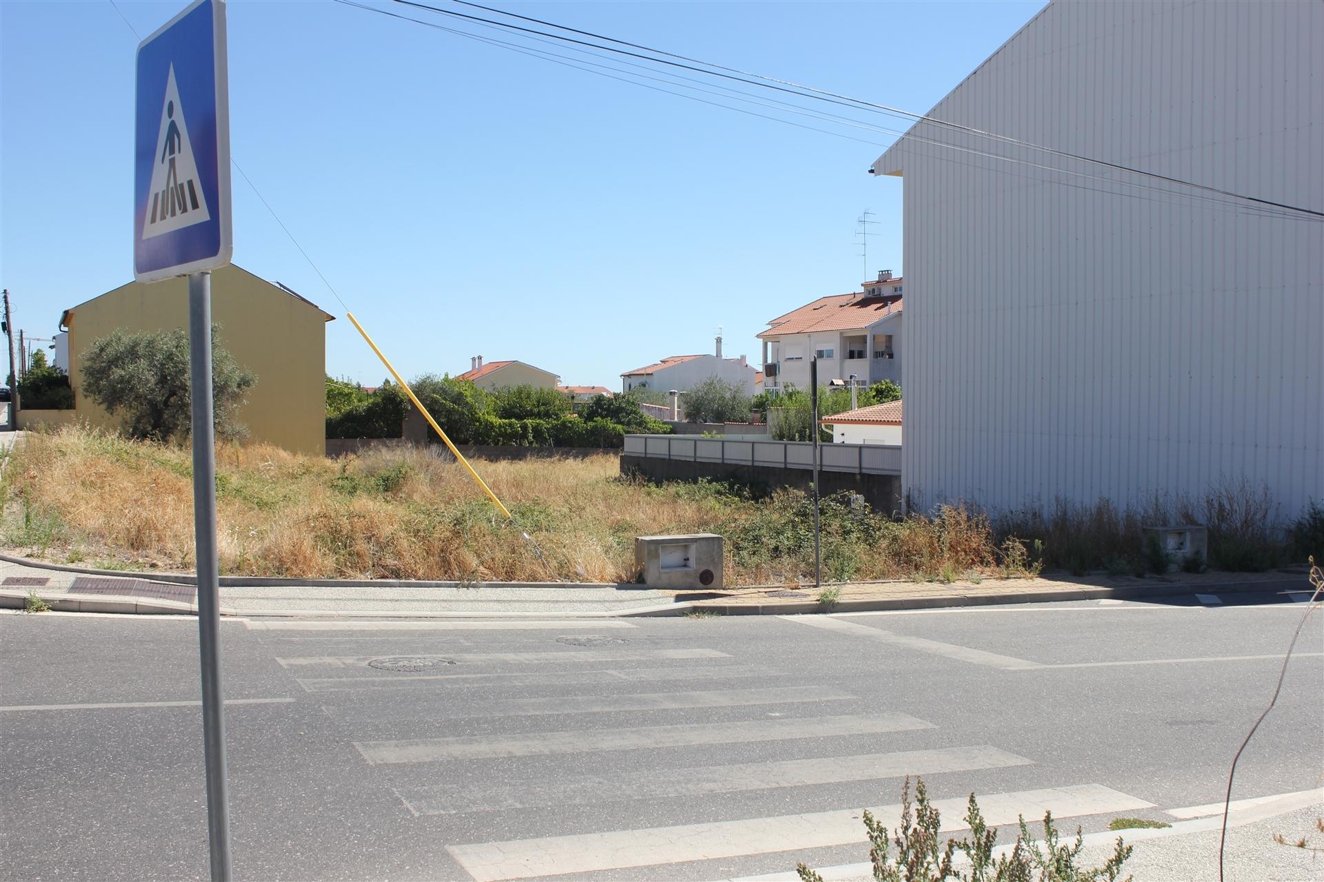 Terreno Para Construção  Venda em Castelo Branco,Castelo Branco