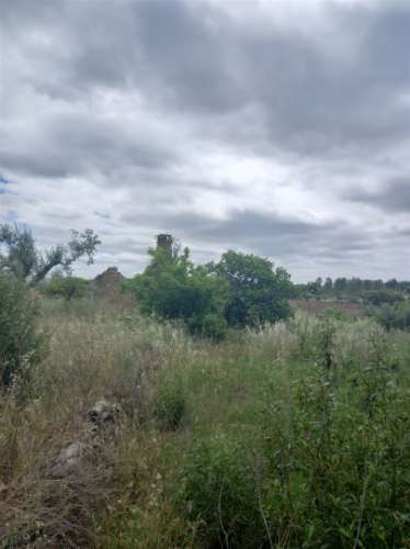 Moradia Rústica  Venda em Sarnadas de Ródão,Vila Velha de Rodão