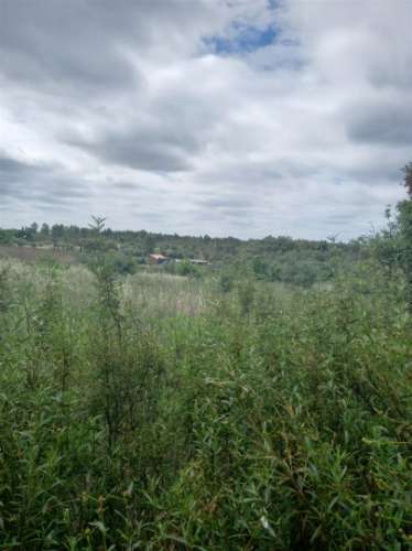 Moradia Rústica  Venda em Sarnadas de Ródão,Vila Velha de Rodão