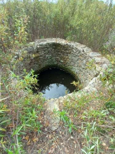 Moradia Rústica  Venda em Sarnadas de Ródão,Vila Velha de Rodão