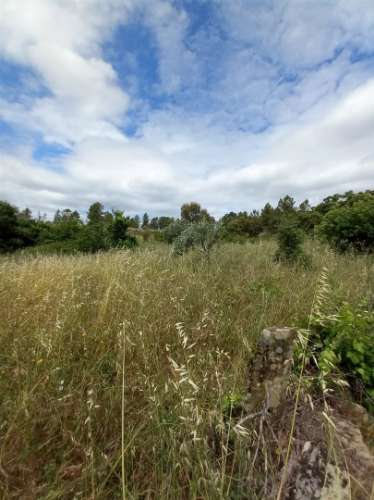 Moradia Rústica  Venda em Sarnadas de Ródão,Vila Velha de Rodão