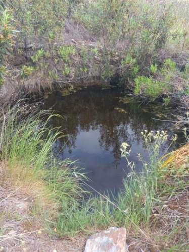 Moradia Rústica  Venda em Sarnadas de Ródão,Vila Velha de Rodão
