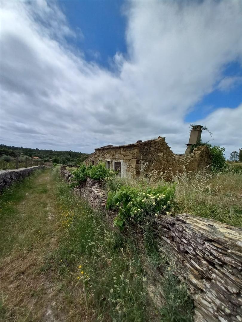 Moradia Rústica  Venda em Sarnadas de Ródão,Vila Velha de Rodão