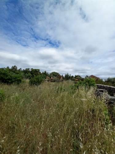 Moradia Rústica  Venda em Sarnadas de Ródão,Vila Velha de Rodão