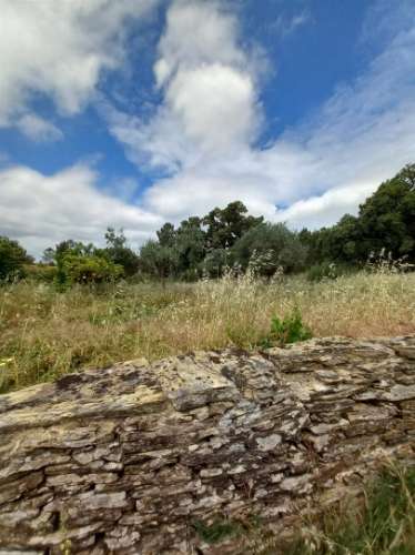 Moradia Rústica  Venda em Sarnadas de Ródão,Vila Velha de Rodão