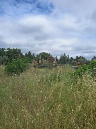Moradia Rústica  Venda em Sarnadas de Ródão,Vila Velha de Rodão
