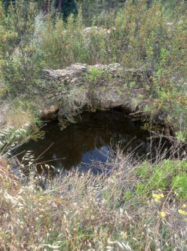 Moradia Rústica  Venda em Sarnadas de Ródão,Vila Velha de Rodão