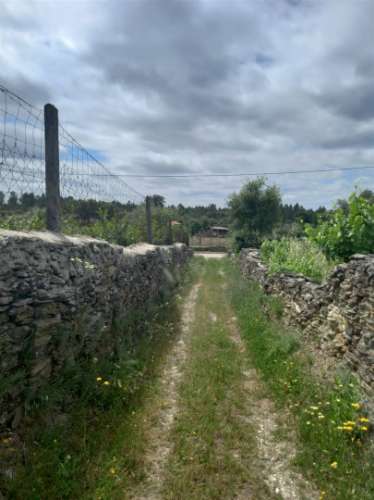 Moradia Rústica  Venda em Sarnadas de Ródão,Vila Velha de Rodão