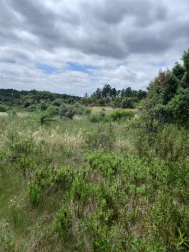 Moradia Rústica  Venda em Sarnadas de Ródão,Vila Velha de Rodão