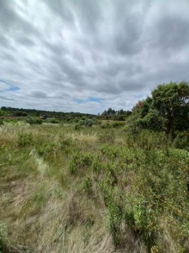 Moradia Rústica  Venda em Sarnadas de Ródão,Vila Velha de Rodão