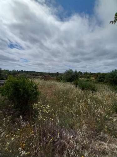 Moradia Rústica  Venda em Sarnadas de Ródão,Vila Velha de Rodão