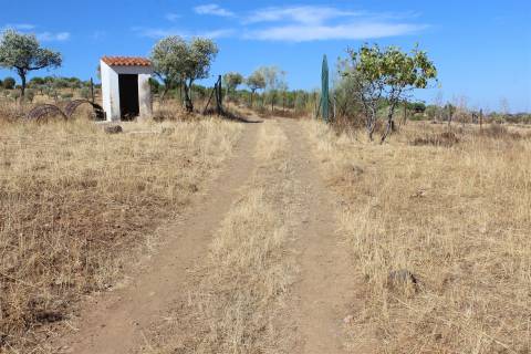 Terreno Rústico  Venda em Escalos de Baixo e Mata,Castelo Branco