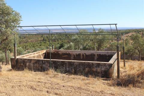 Terreno Rústico  Venda em Escalos de Baixo e Mata,Castelo Branco