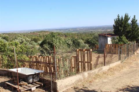 Terreno Rústico  Venda em Escalos de Baixo e Mata,Castelo Branco