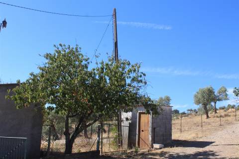 Terreno Rústico  Venda em Escalos de Baixo e Mata,Castelo Branco