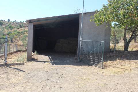 Terreno Rústico  Venda em Escalos de Baixo e Mata,Castelo Branco