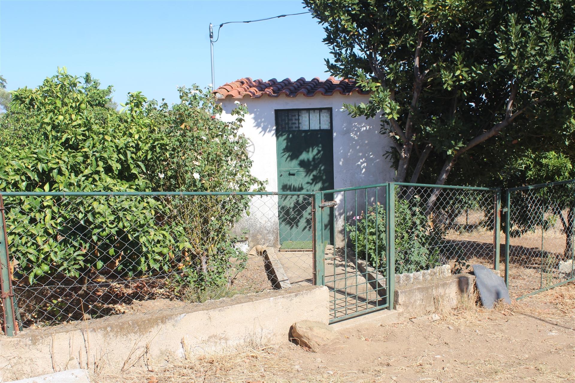 Terreno Rústico  Venda em Escalos de Baixo e Mata,Castelo Branco