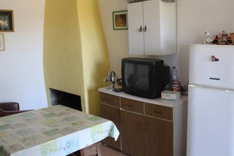 Terreno Rústico  Venda em Escalos de Baixo e Mata,Castelo Branco