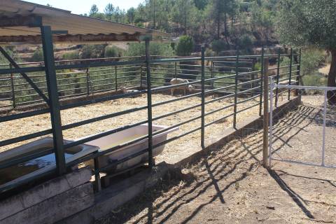 Terreno Rústico  Venda em Escalos de Baixo e Mata,Castelo Branco
