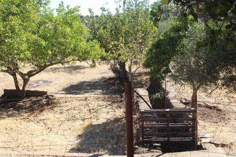 Terreno Rústico  Venda em Escalos de Baixo e Mata,Castelo Branco