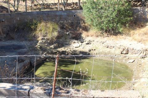 Terreno Rústico  Venda em Escalos de Baixo e Mata,Castelo Branco