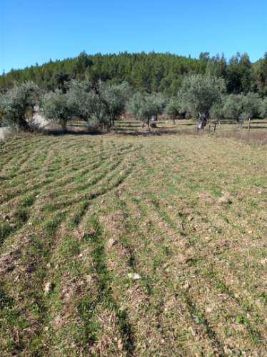 Moradia T1 Venda em Almaceda,Castelo Branco