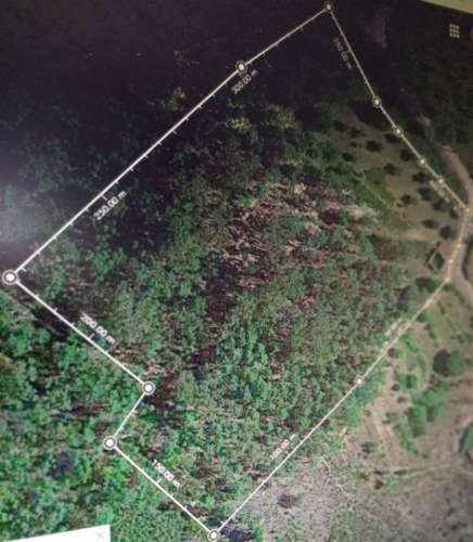 Terreno Rústico  Venda em Vila Velha de Ródão,Vila Velha de Rodão