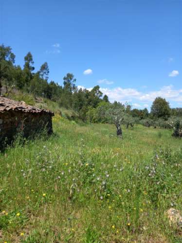 Terreno Rústico  Venda em Vila Velha de Ródão,Vila Velha de Rodão