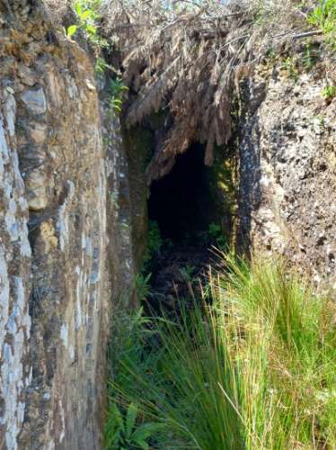 Terreno Rústico  Venda em Vila Velha de Ródão,Vila Velha de Rodão