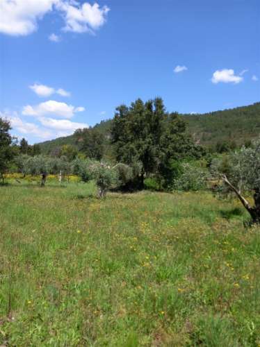 Terreno Rústico  Venda em Vila Velha de Ródão,Vila Velha de Rodão