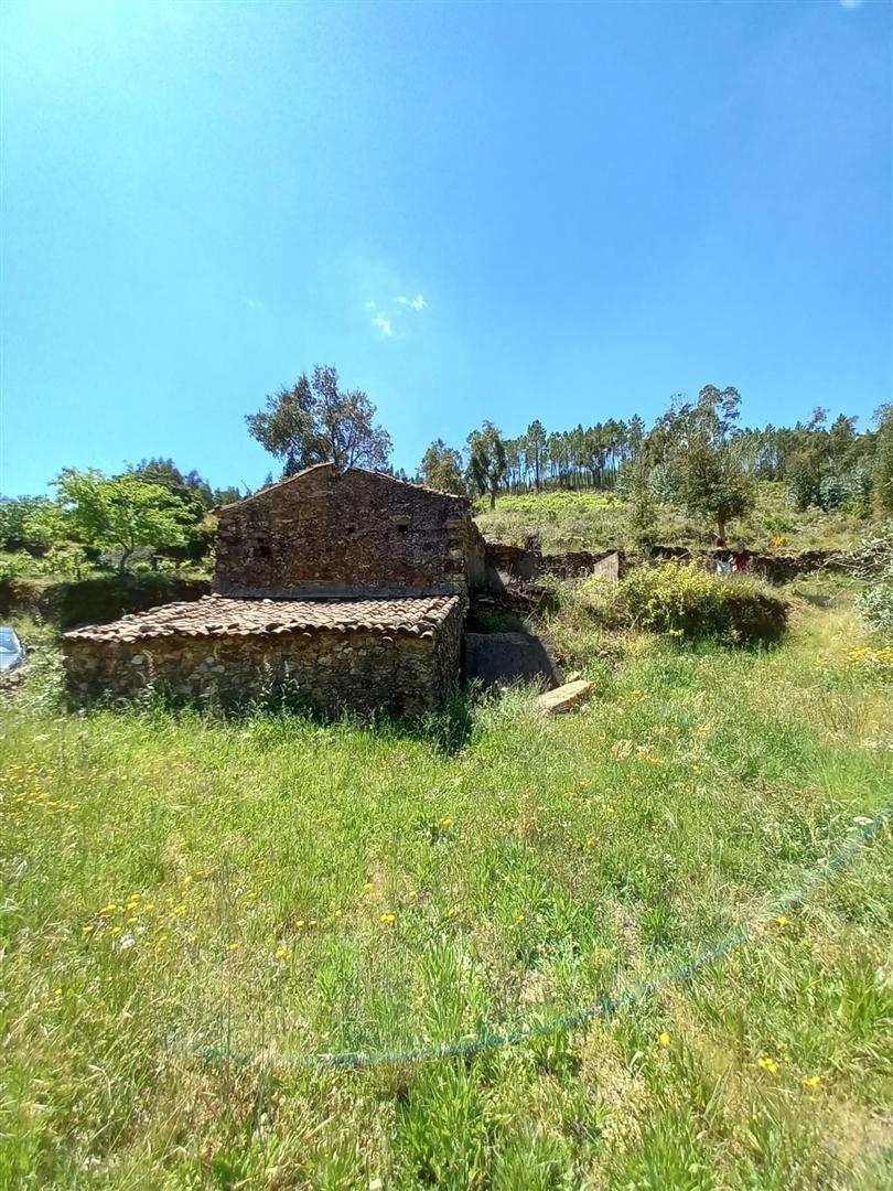 Terreno Rústico  Venda em Vila Velha de Ródão,Vila Velha de Rodão