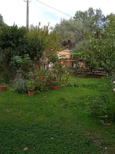 Terreno Rústico  Venda em Aranhas,Penamacor