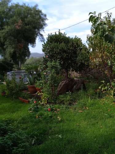 Terreno Rústico  Venda em Aranhas,Penamacor