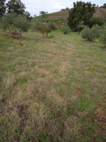 Terreno Rústico  Venda em Aranhas,Penamacor