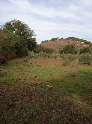 Terreno Rústico  Venda em Aranhas,Penamacor