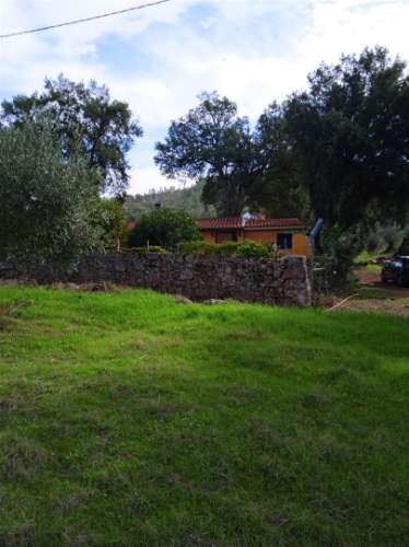 Terreno Rústico  Venda em Aranhas,Penamacor