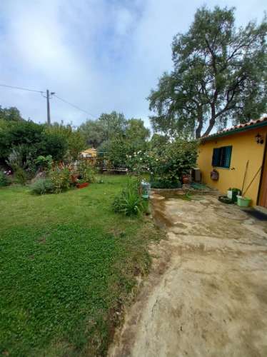 Terreno Rústico  Venda em Aranhas,Penamacor