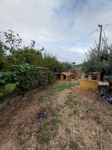 Terreno Rústico  Venda em Aranhas,Penamacor