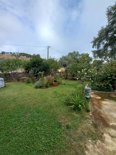 Terreno Rústico  Venda em Aranhas,Penamacor