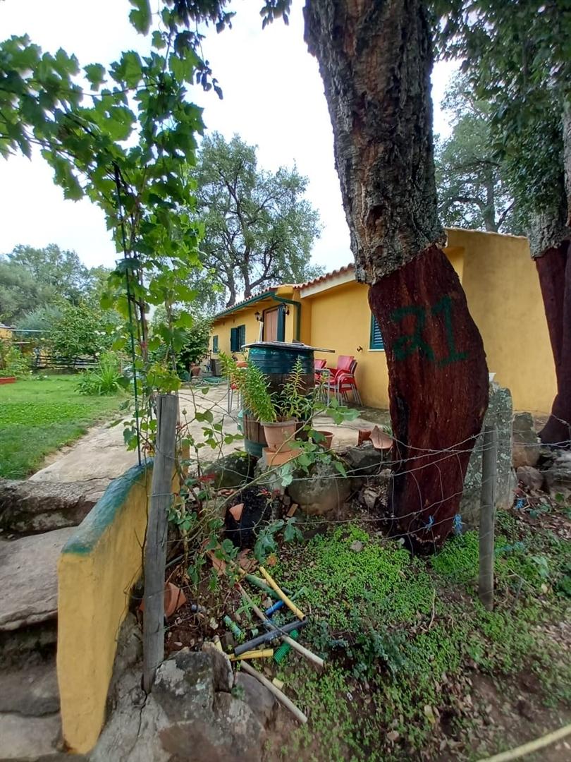 Terreno Rústico  Venda em Aranhas,Penamacor