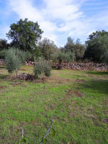 Terreno Rústico  Venda em Aranhas,Penamacor