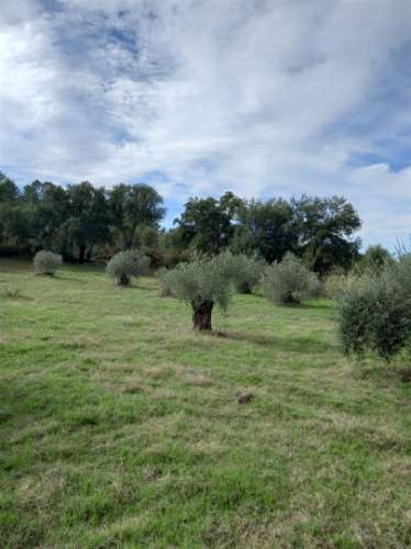 Terreno Rústico  Venda em Aranhas,Penamacor